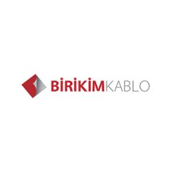 birikim-logojpg